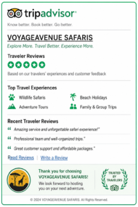 VOYAGEAVENUE SAFARIS
